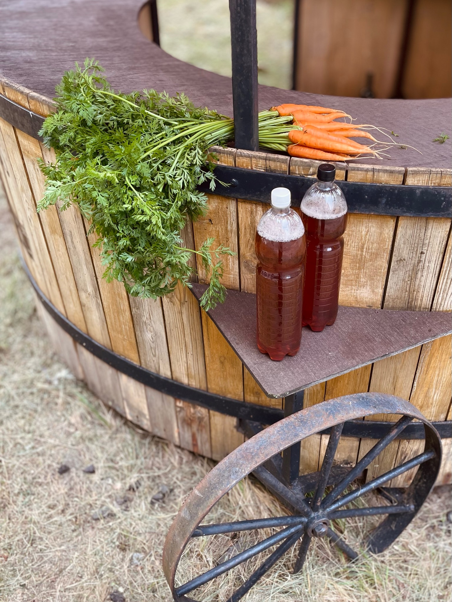 Induļa Gaišais, Latvia