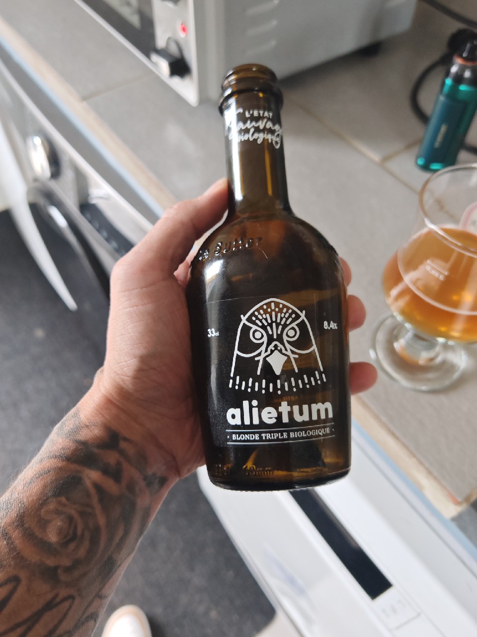 Alietum, France