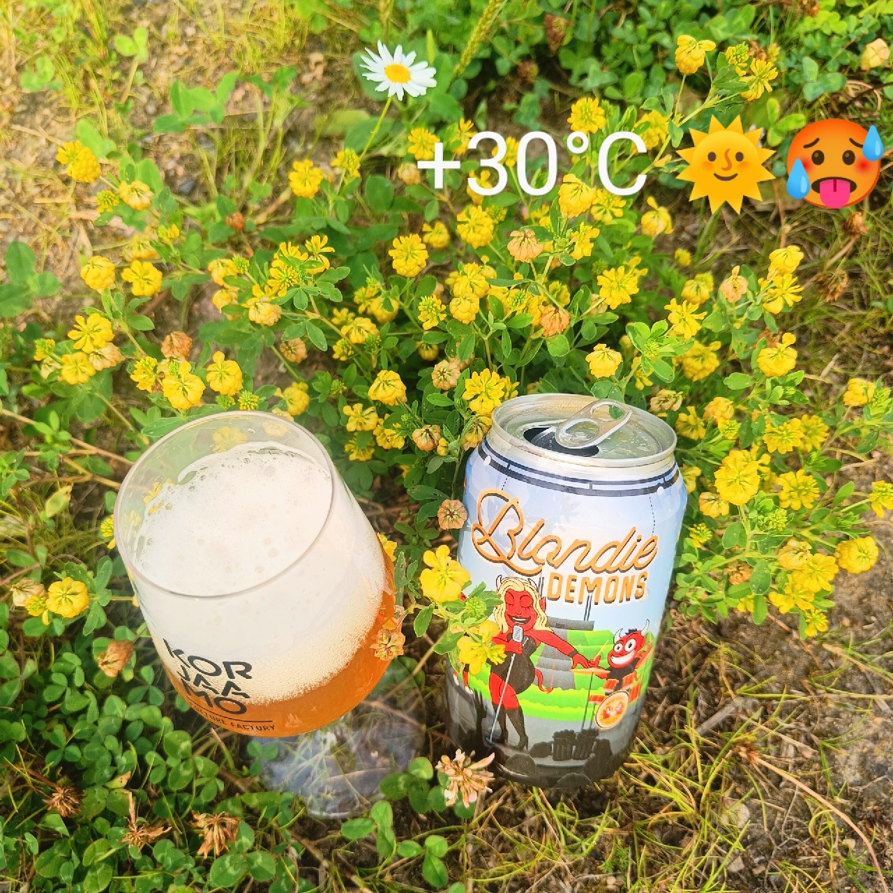 Blondie Demons, Happy Demons Craft Beer