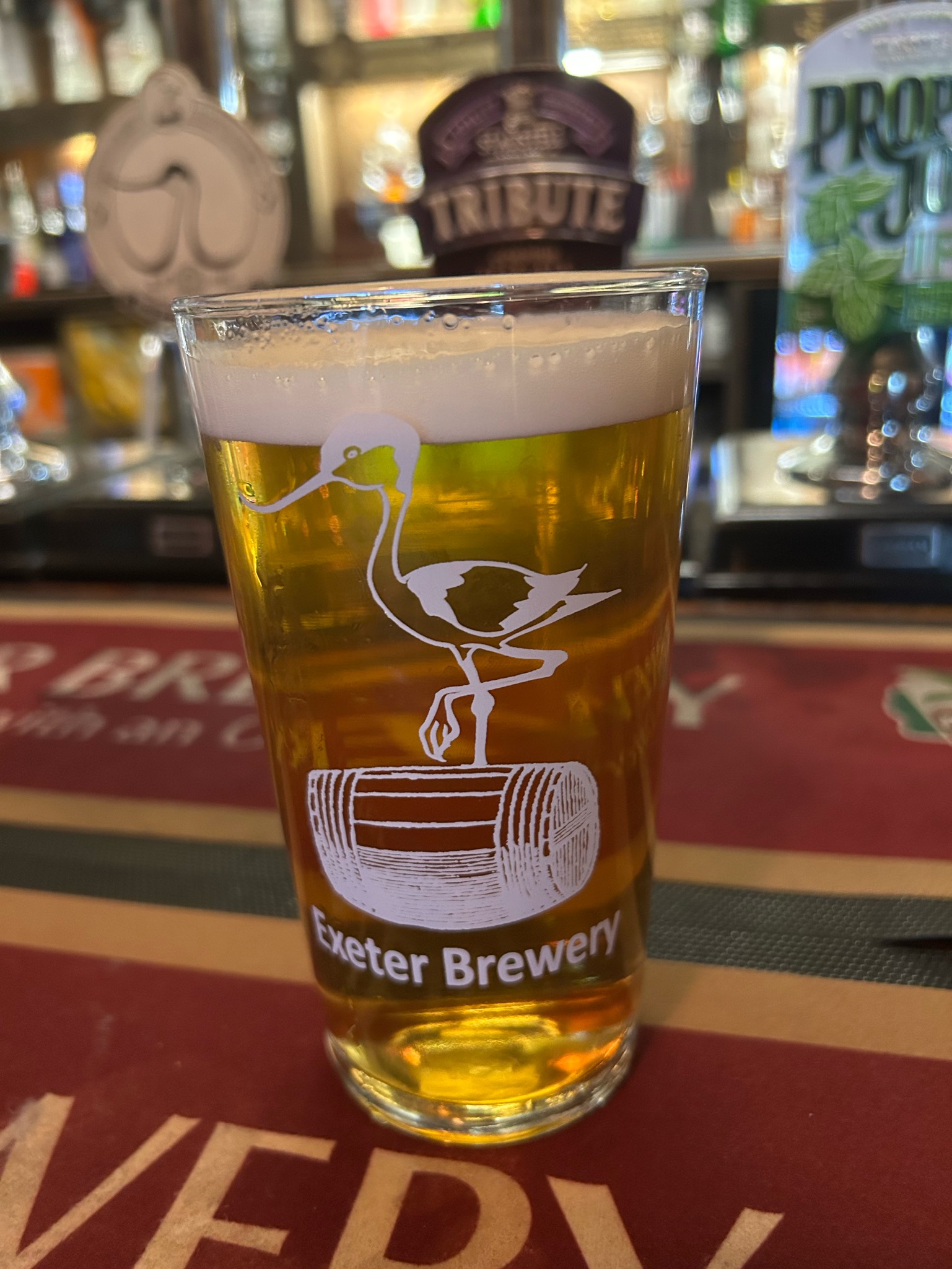 avocet, Exeter Brewery Ltd