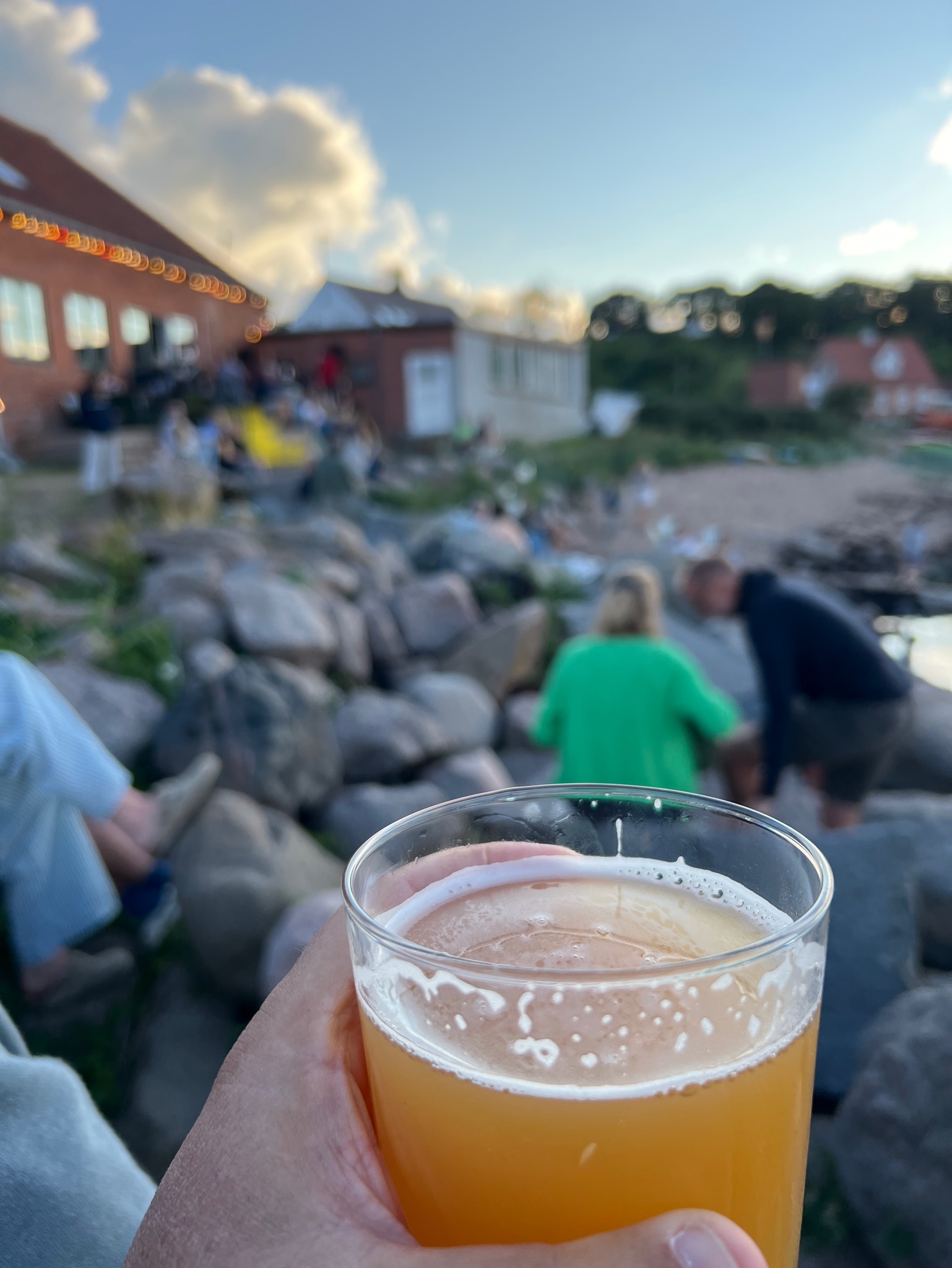 Mikkeller dIPA, Sweden