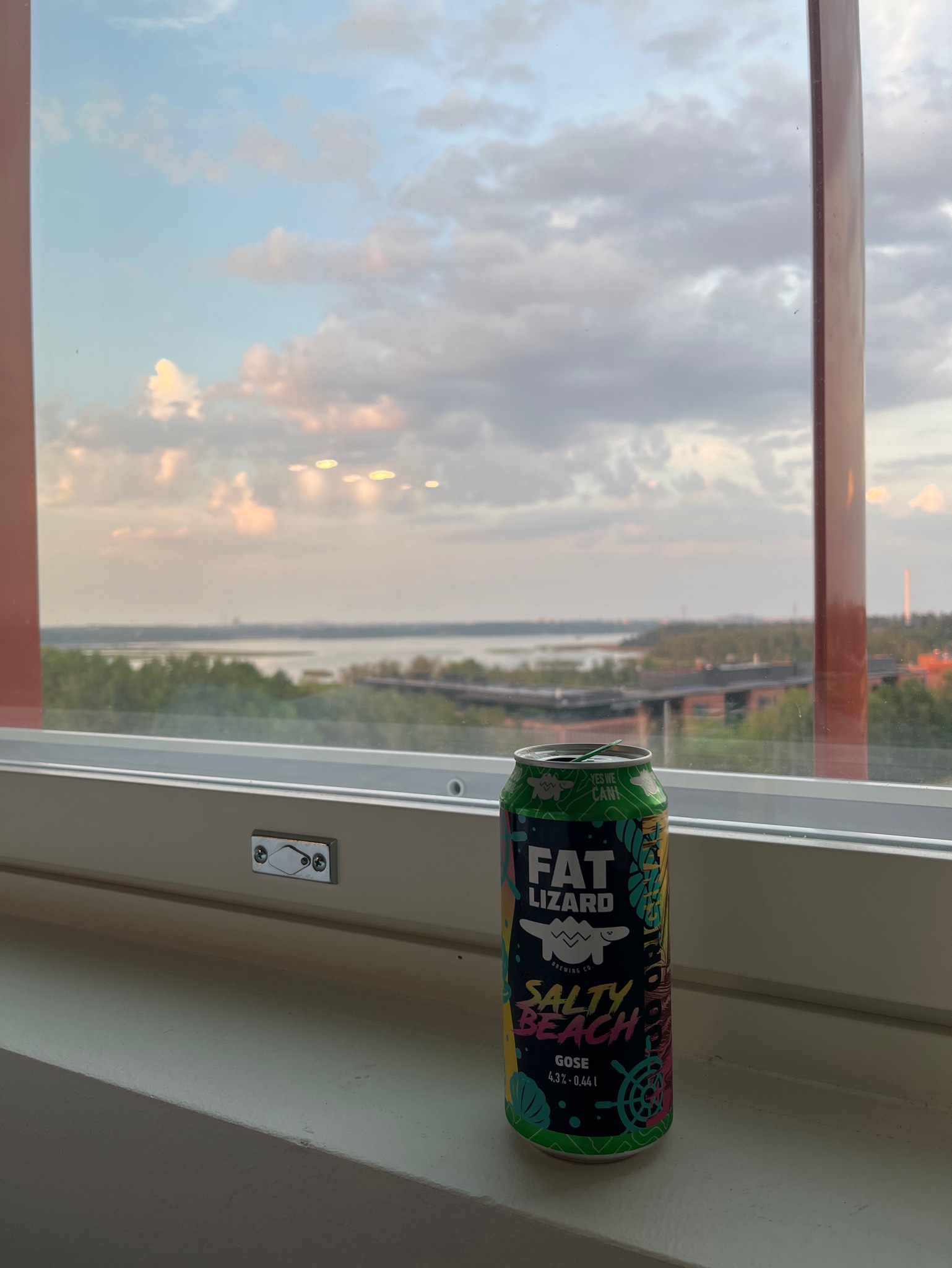 Salty Beach Gose, Finland