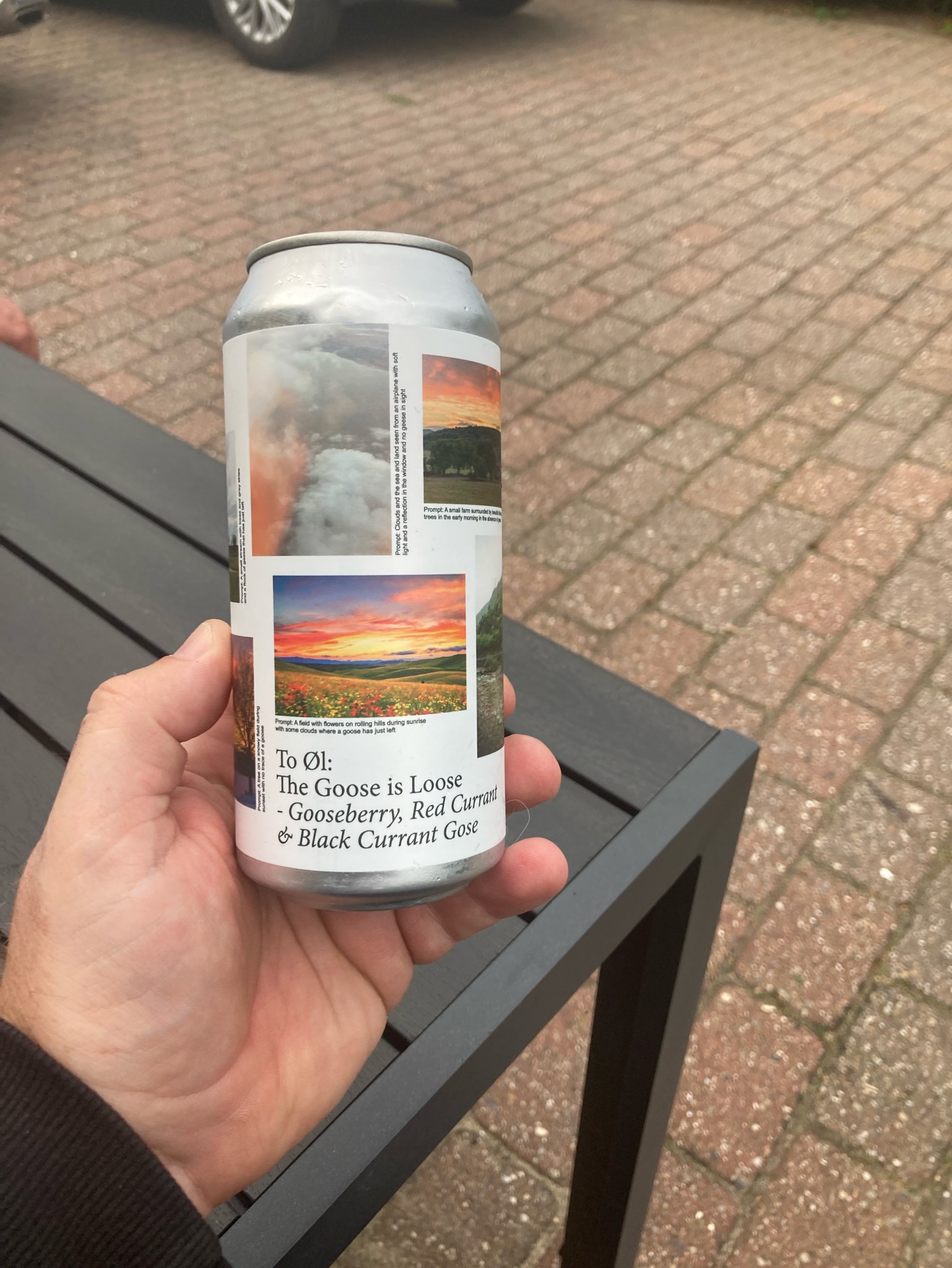 The Goose ls Loose, Denmark