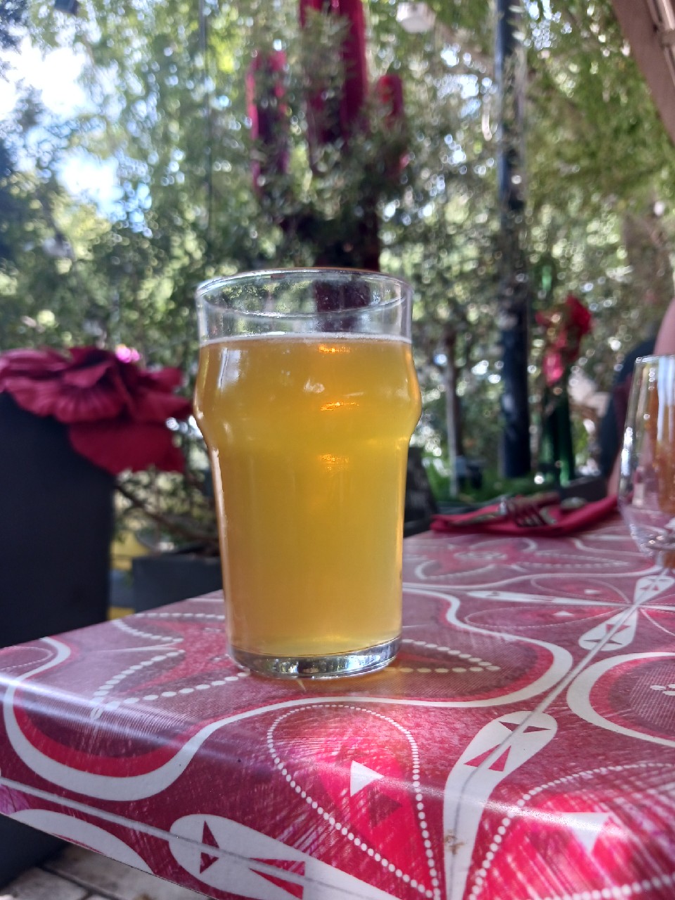 Ameno Blonde, France