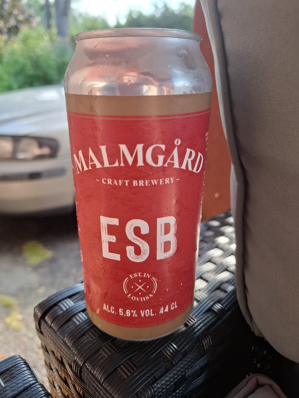 ESB, Finland