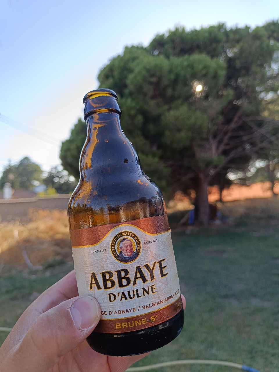 Abbaye d'Aulne Brune 6°, Belgium