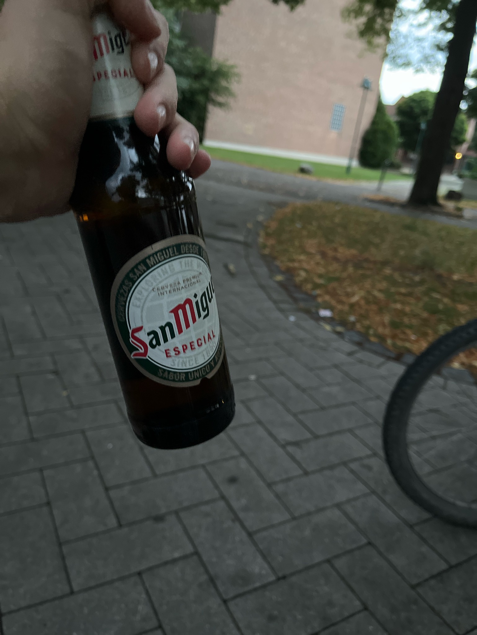 San Miguel Especial, San Miguel Spain (Grupo Mahou-San Miguel)