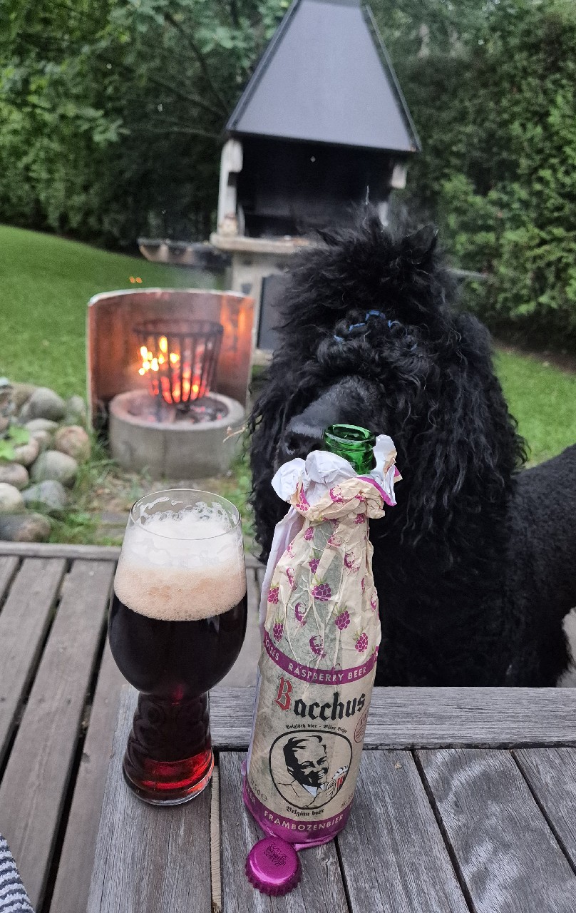 Bacchus Frambozenbier, Belgium