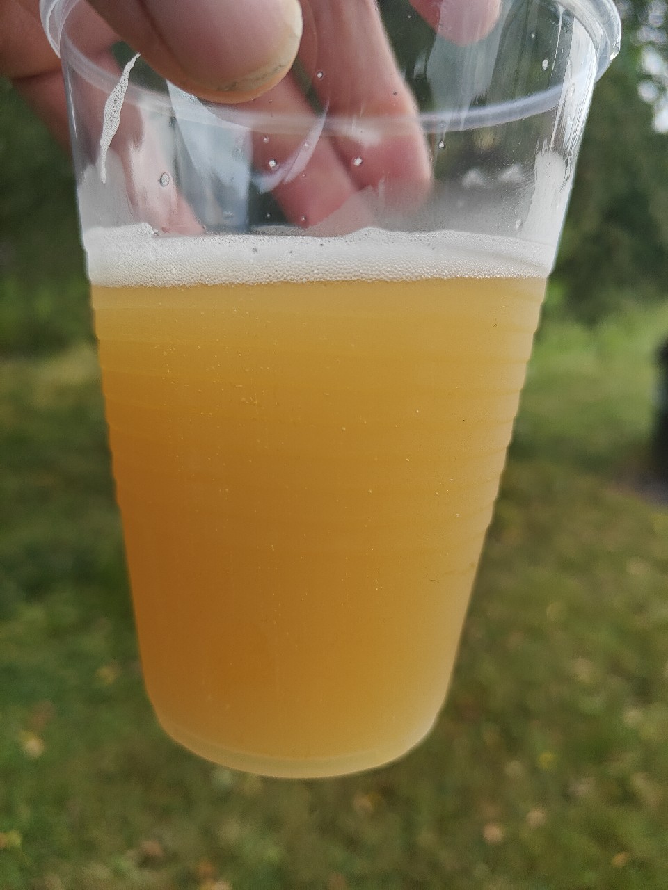 Plan C from Space, Finland