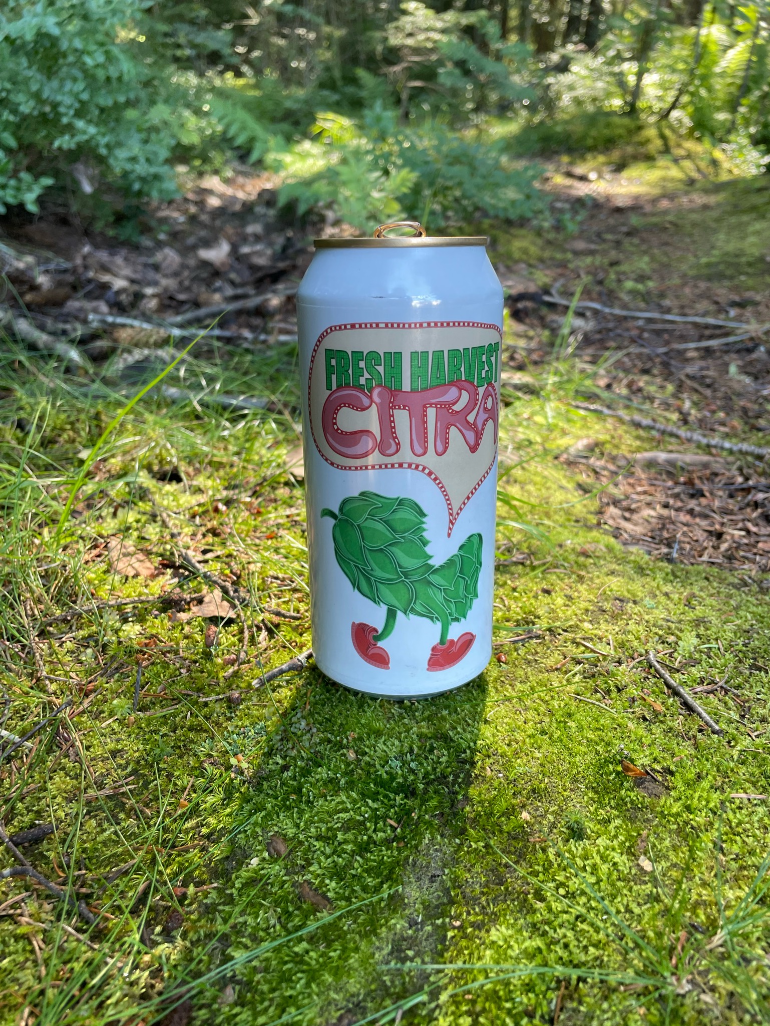 fresh harvest citra, Fermenterarna