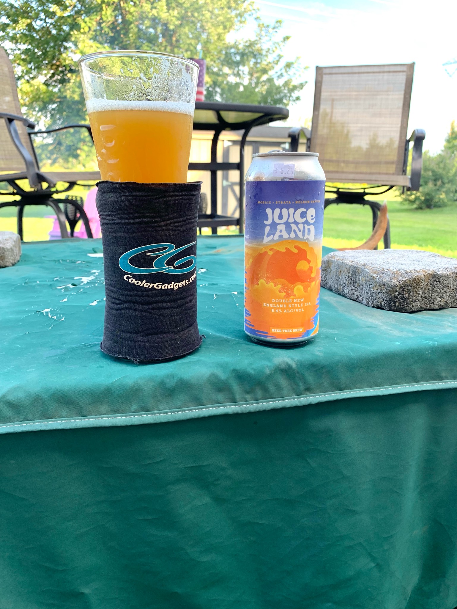 Juice Land (Mosaic, Strata, Nelson Sauvin), Beer Tree Brew