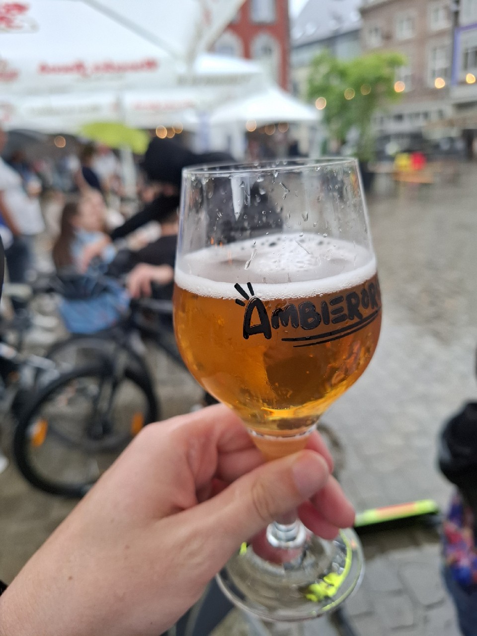 Hibiscus IPA (6), Tale African Beer Craft