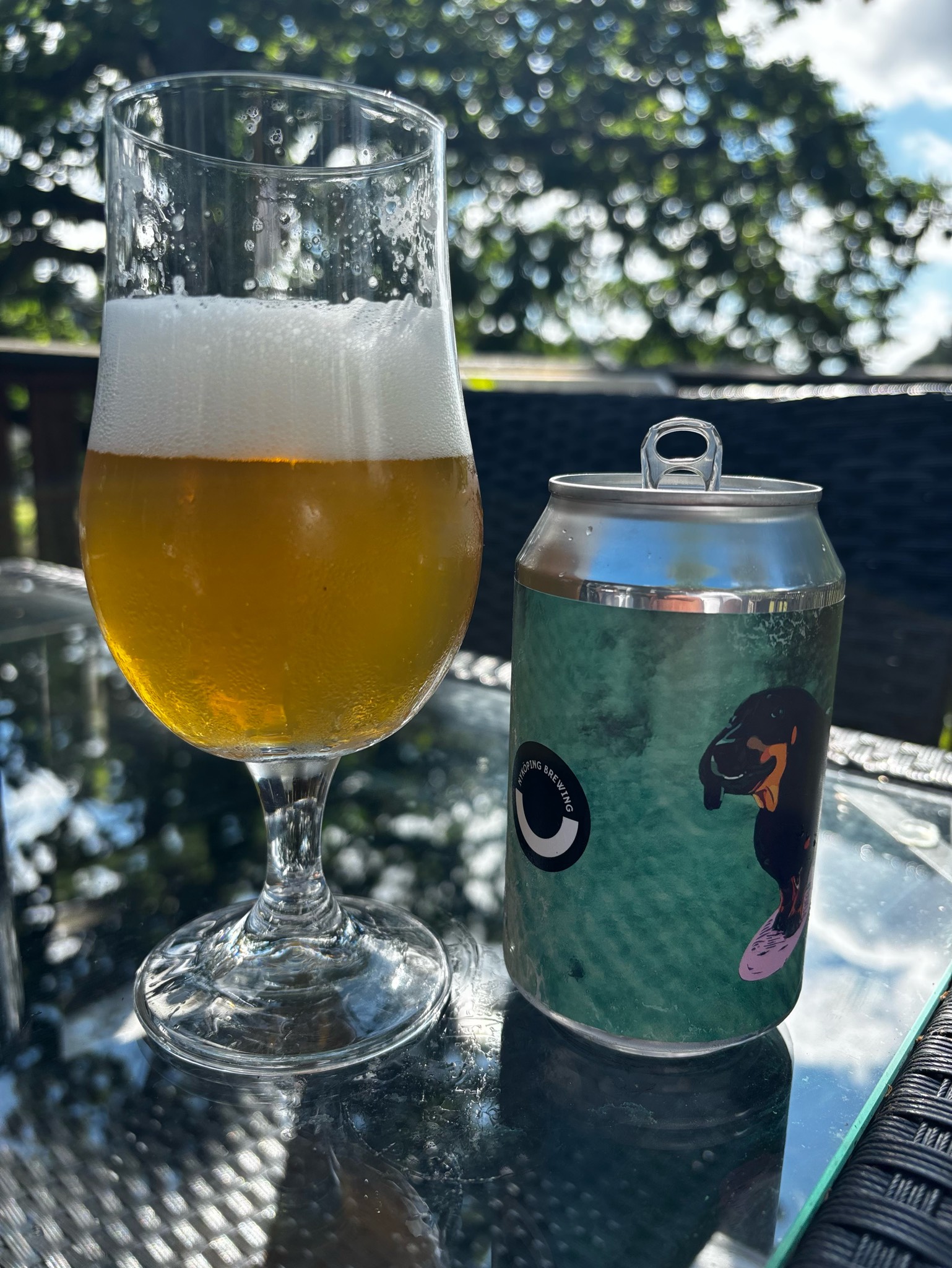 Beach, Please, Nyköping Brewing Company