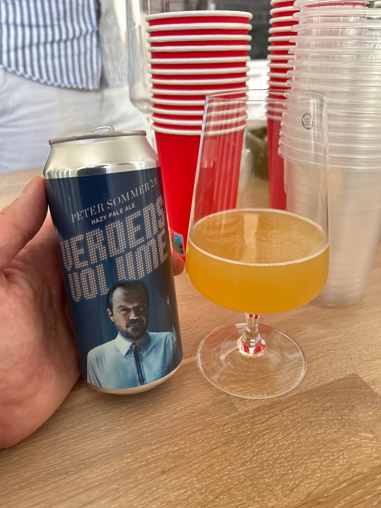 Peter Sommer 2.0, Denmark