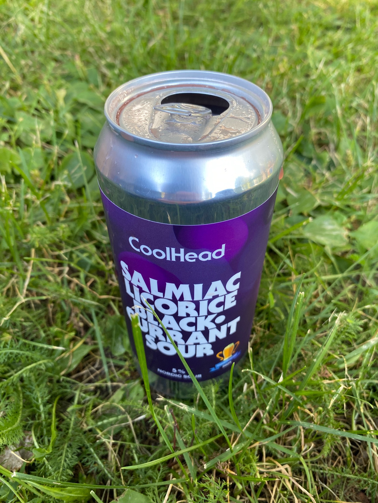 Salmiac Licorice Blackcurrant Sour, CoolHead Brew