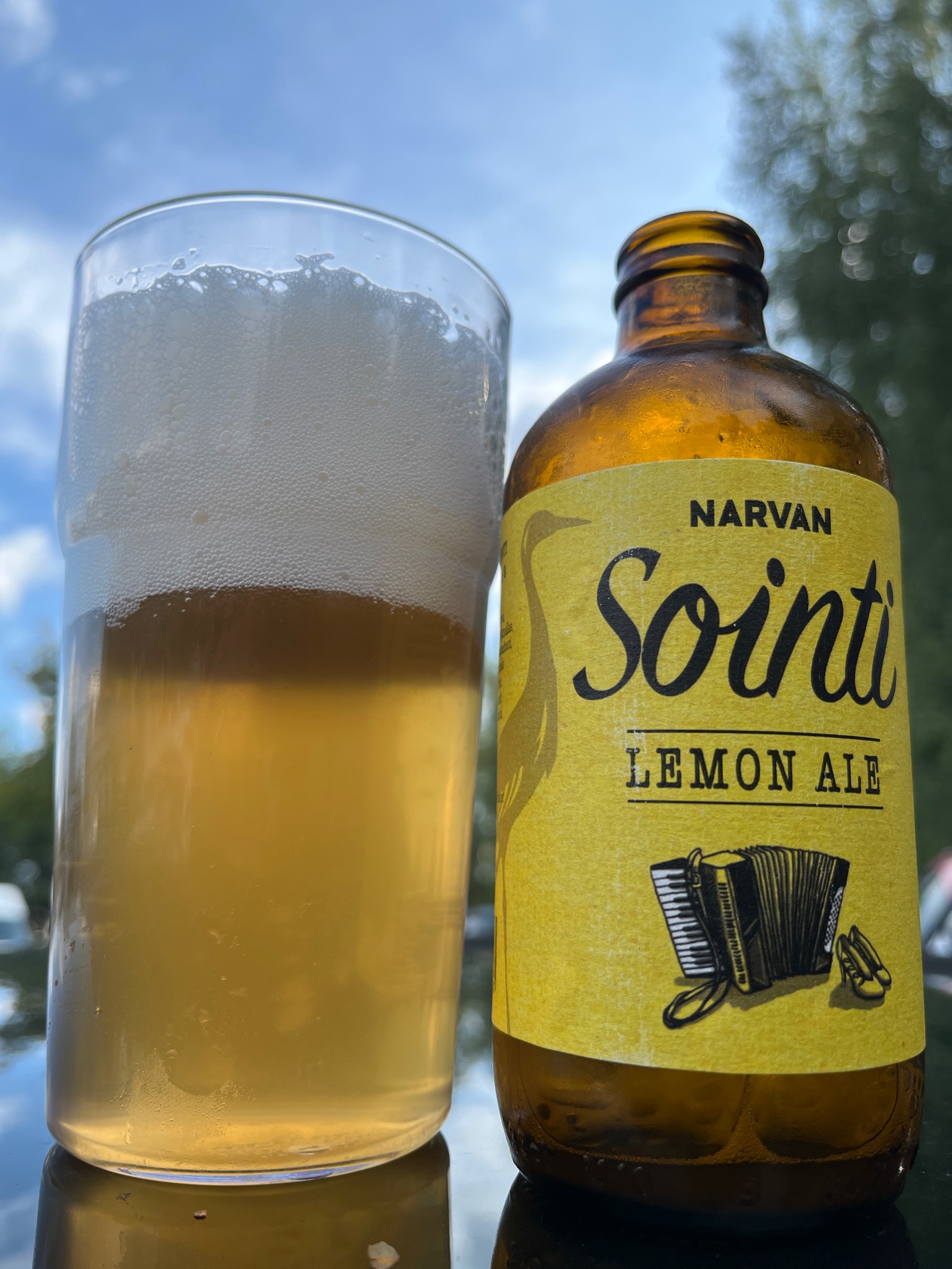 Narvan Sointi, Finland