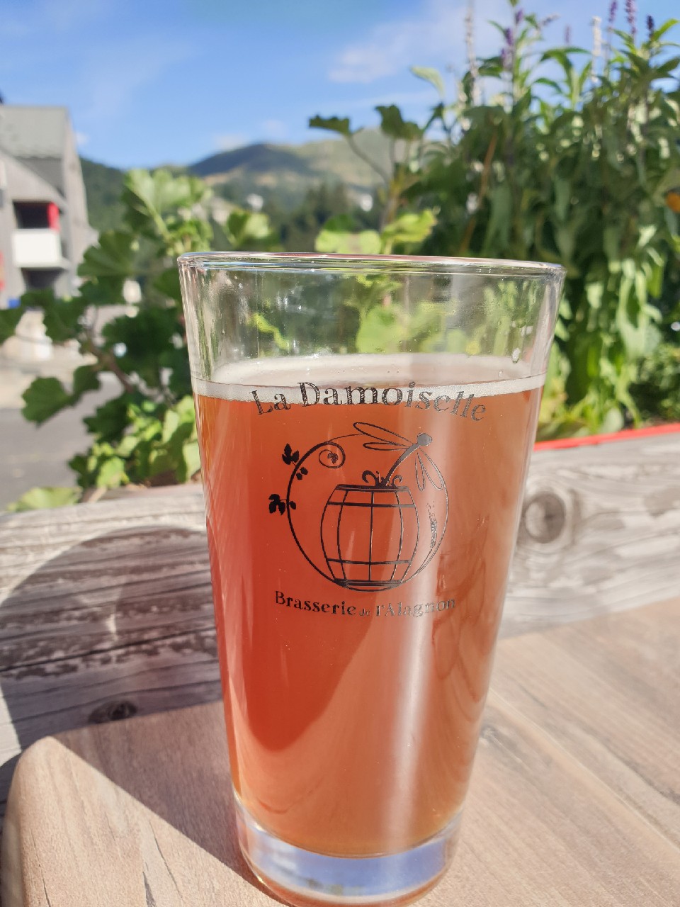 La Damoiselle Ambrée, France