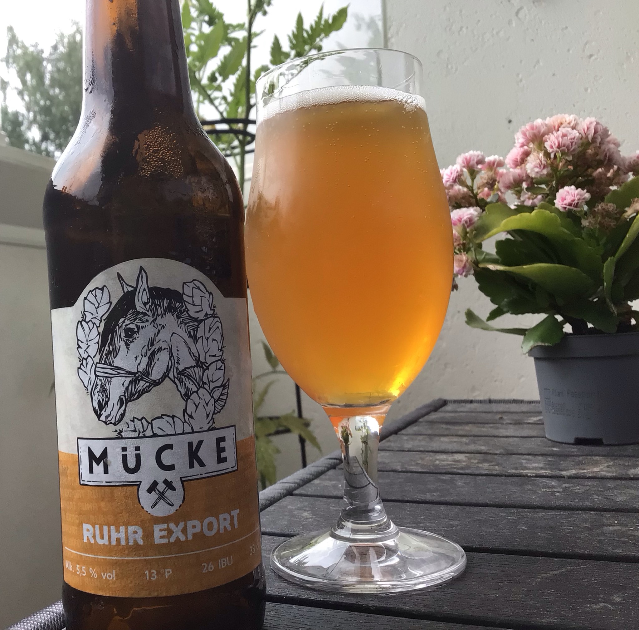 Ruhr Export, Mücke