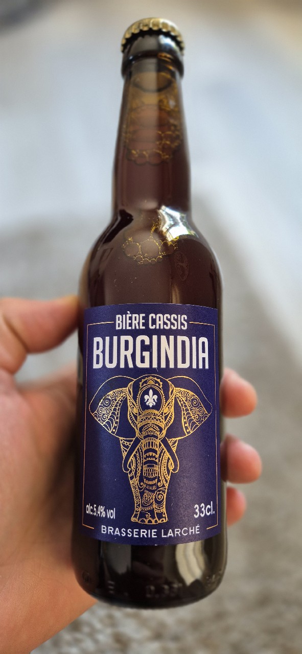 Burgindia Cassis, France