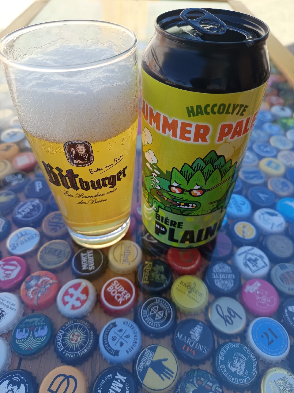 haccolyte summer pale ale, Bière De La Plaine