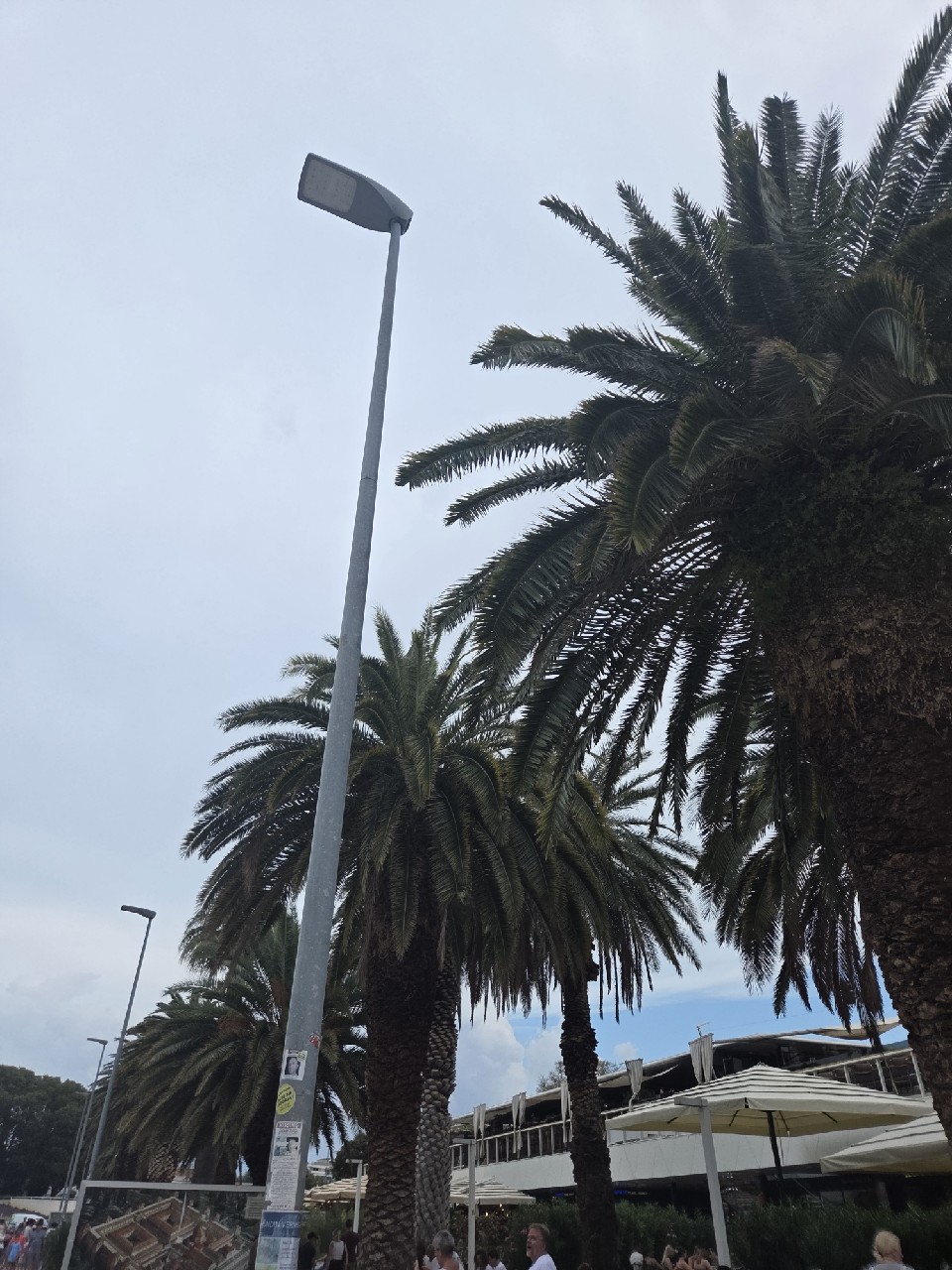 Grif Pale Ale, Croatia