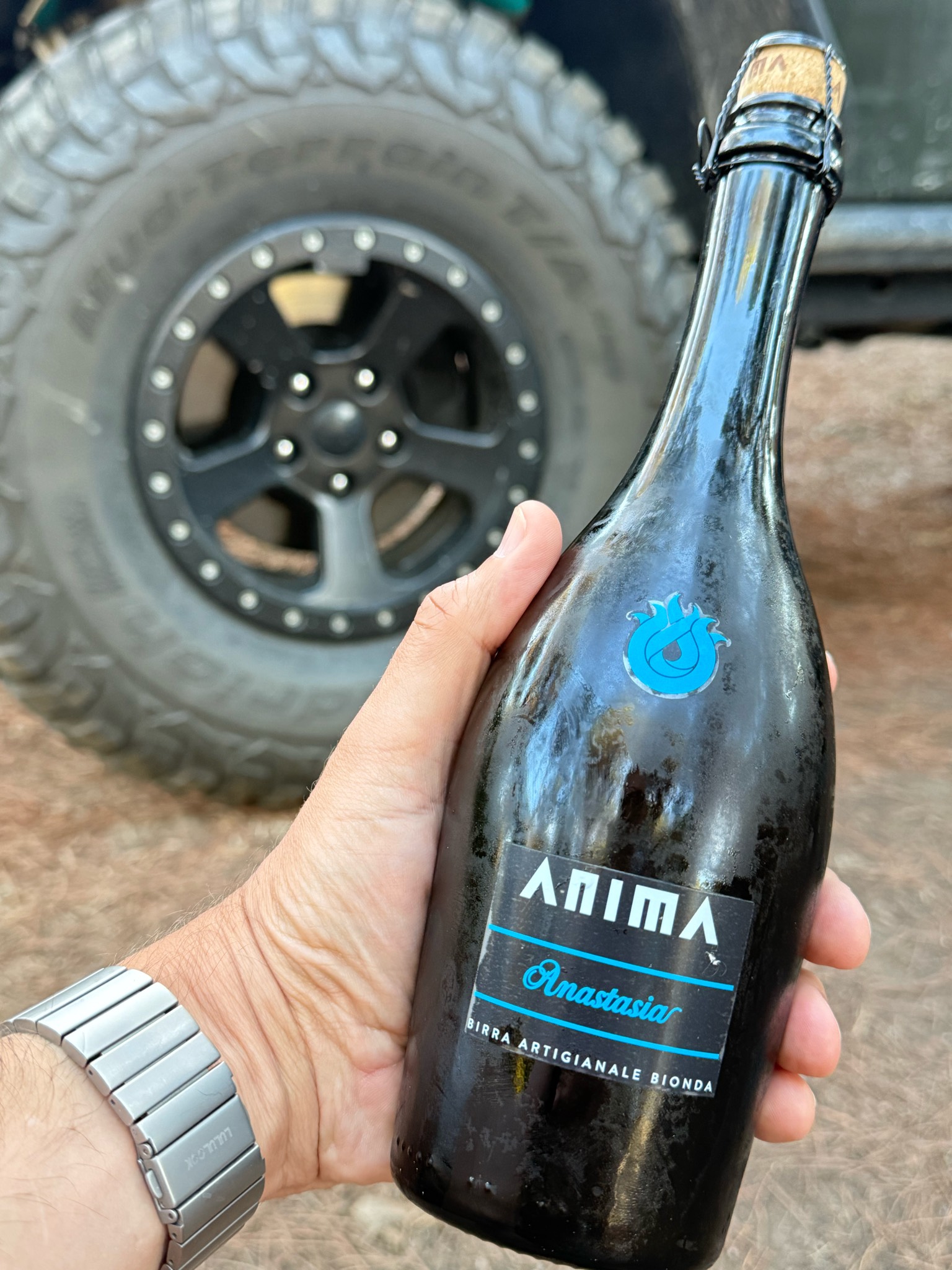 Anima Anastasia, Anima