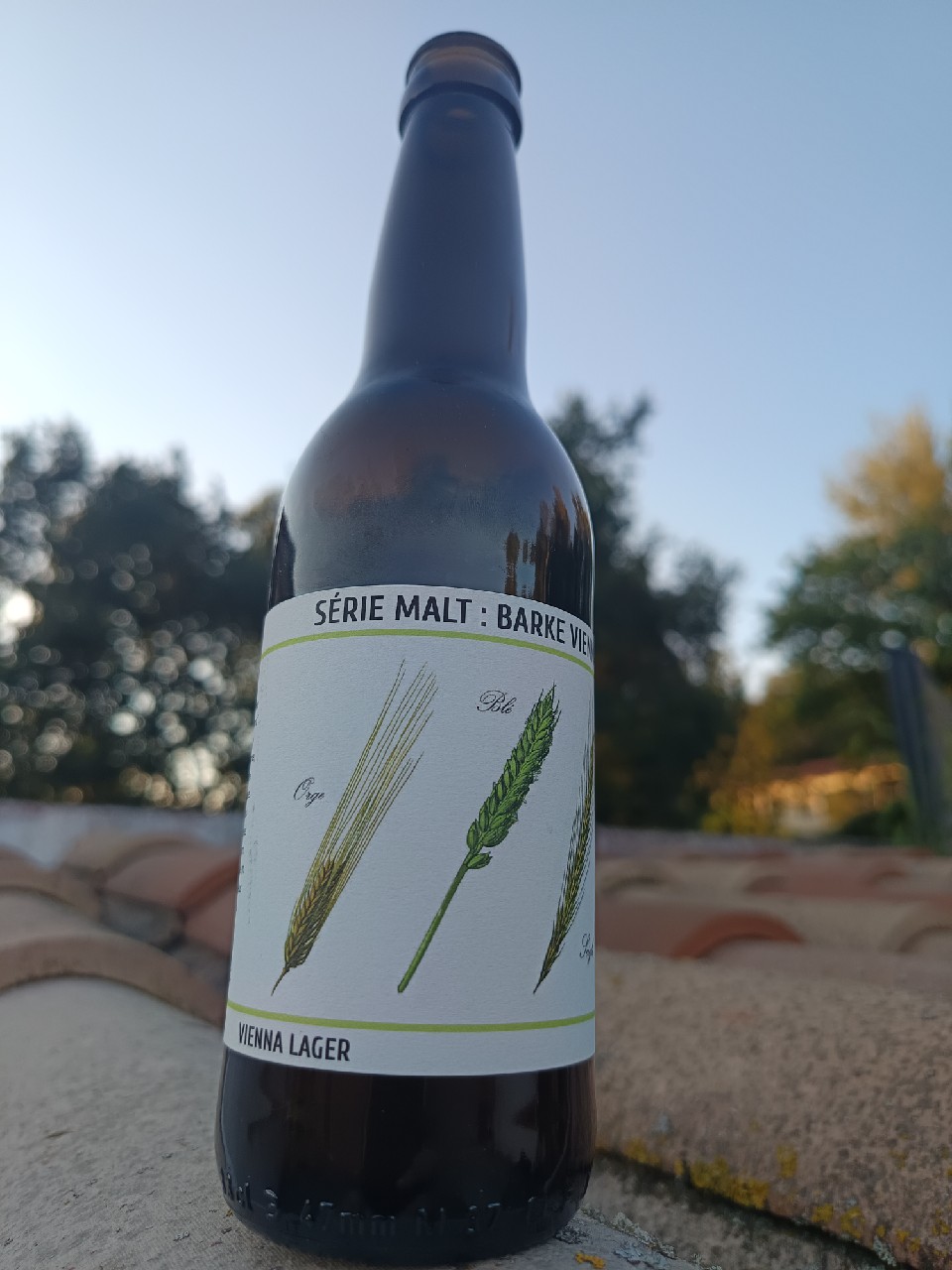 Série Malt : Barke Vienna, Brasserie Flore