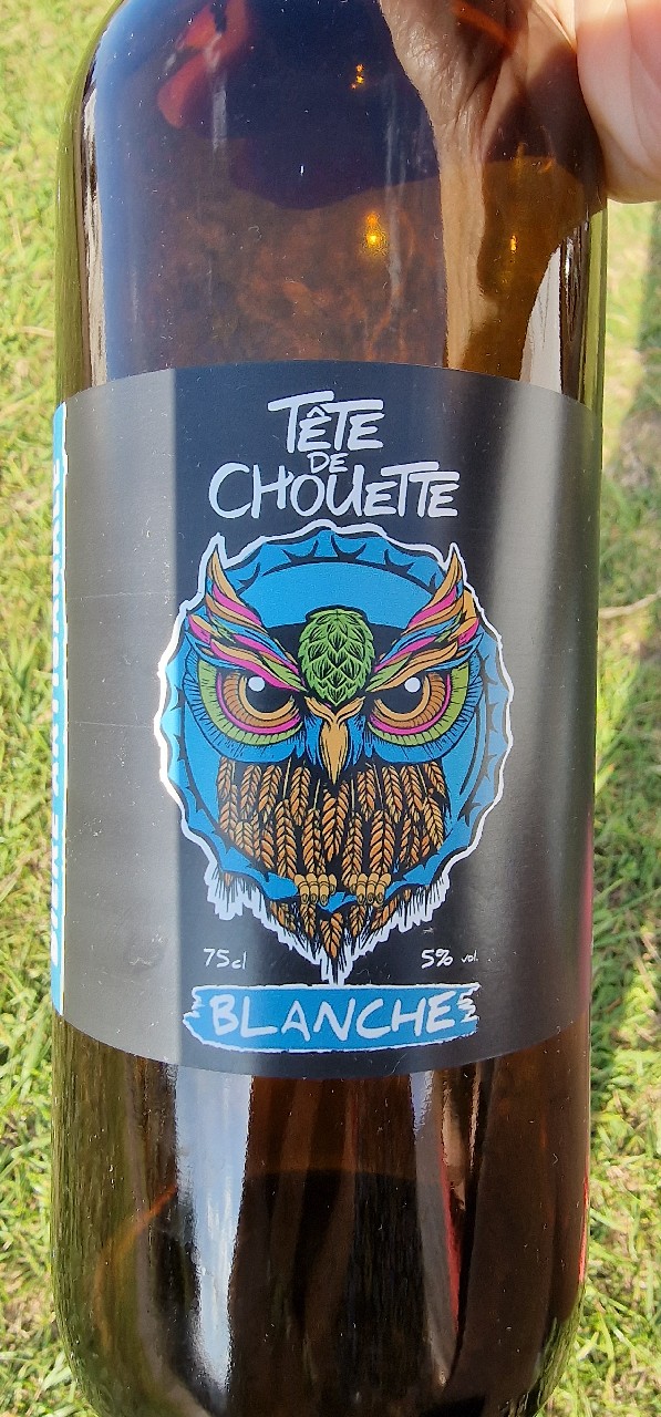 Tête De Chouette Blanche, France