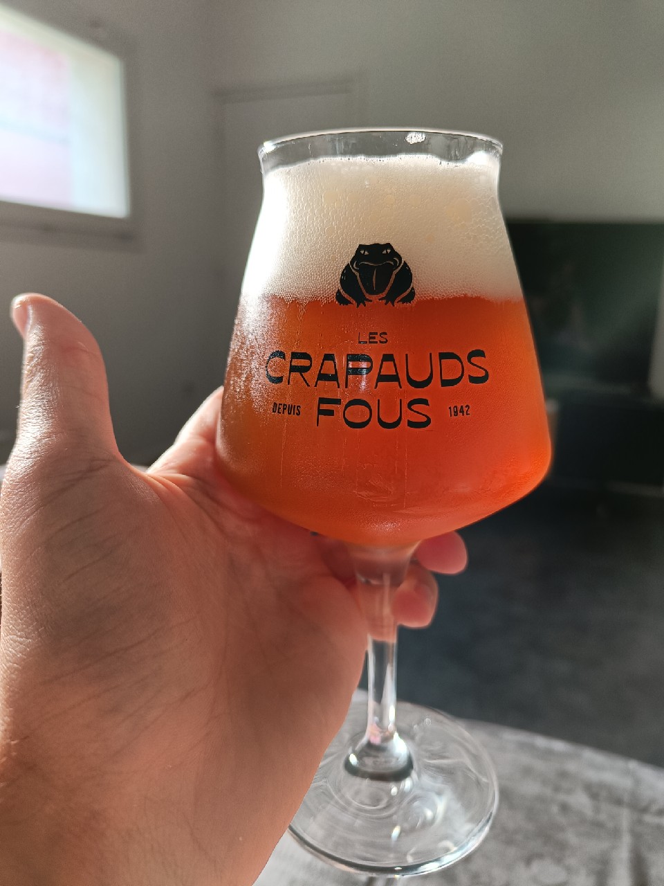 Les Crapauds Fous IPA, France
