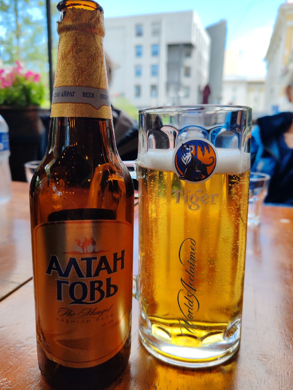 Golden Gobi / Altan Gobi / Алтан Говь, APU Company