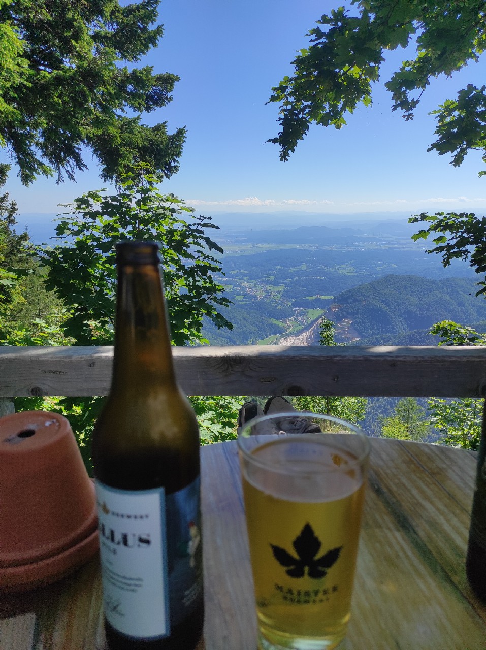 Gallus, Maister Brewery