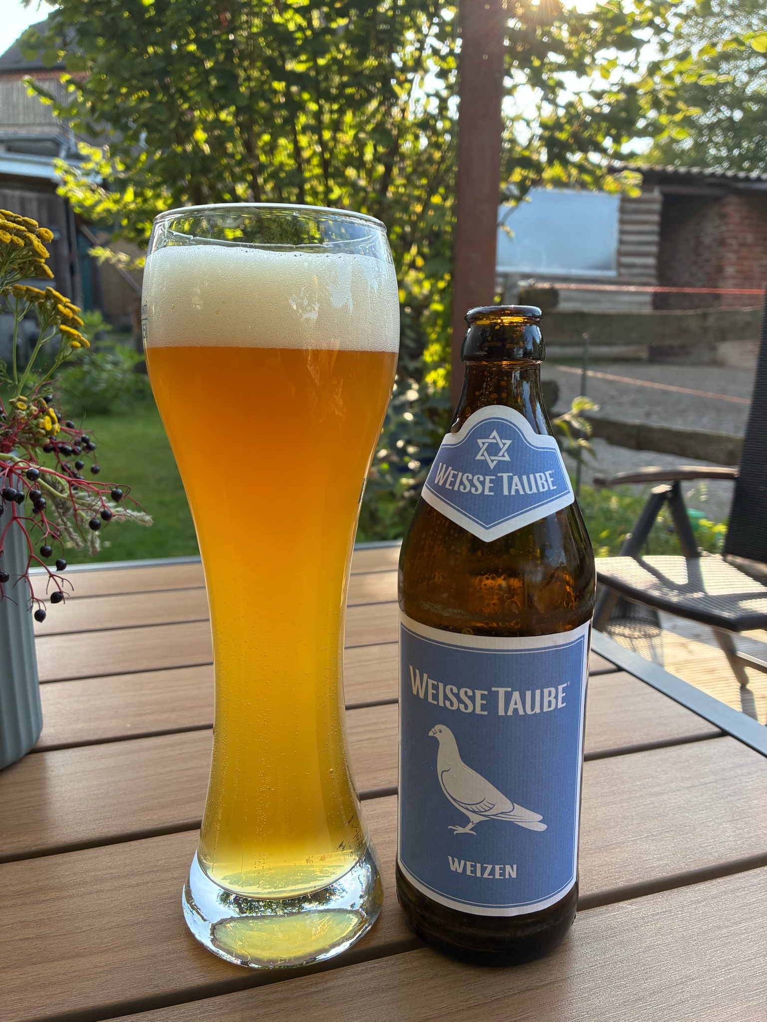 Weisse Taube Weizen, Weißtaubenbräu UG, Bamberg