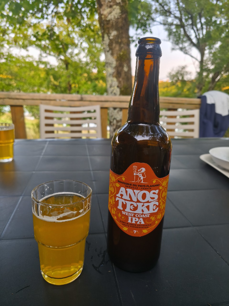 Anosteké West Coast IPA, France
