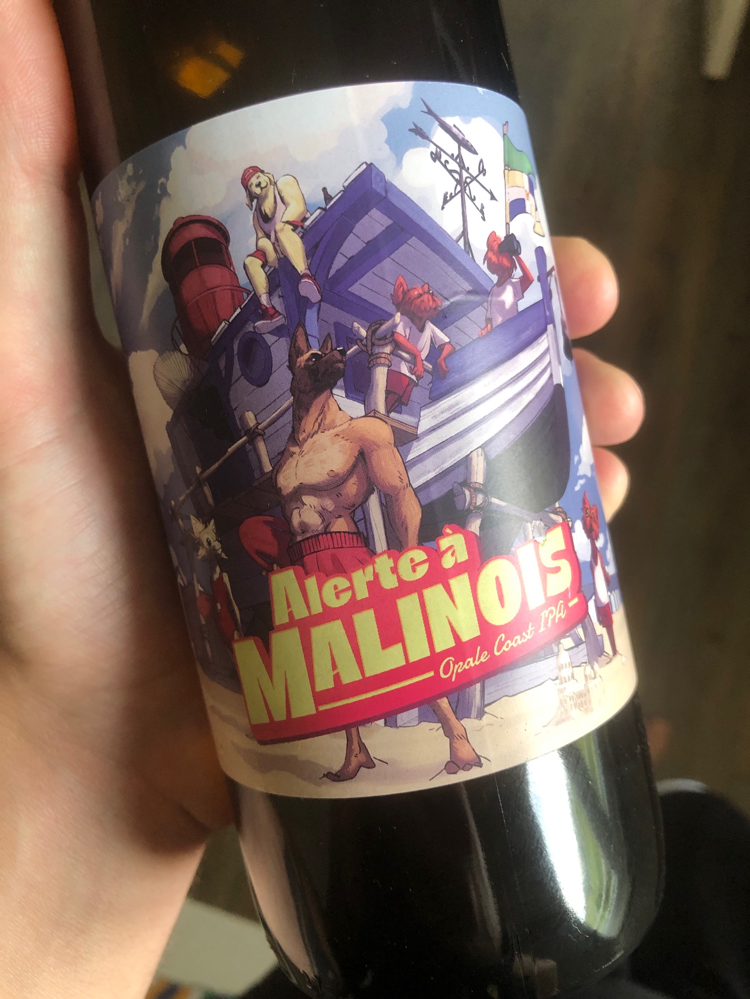 Alerte À Malinois, France