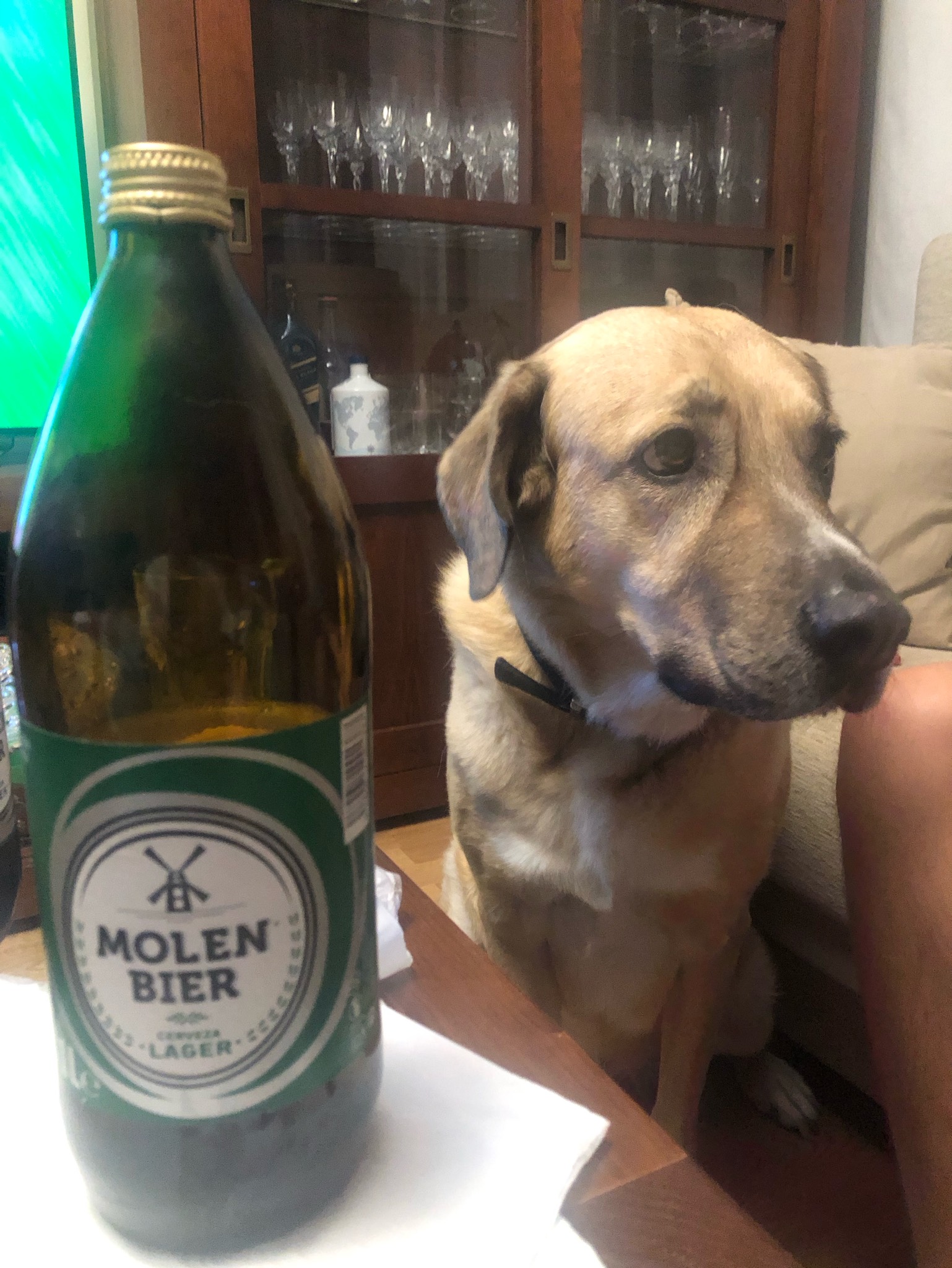 Molen Bier Lager, Spain