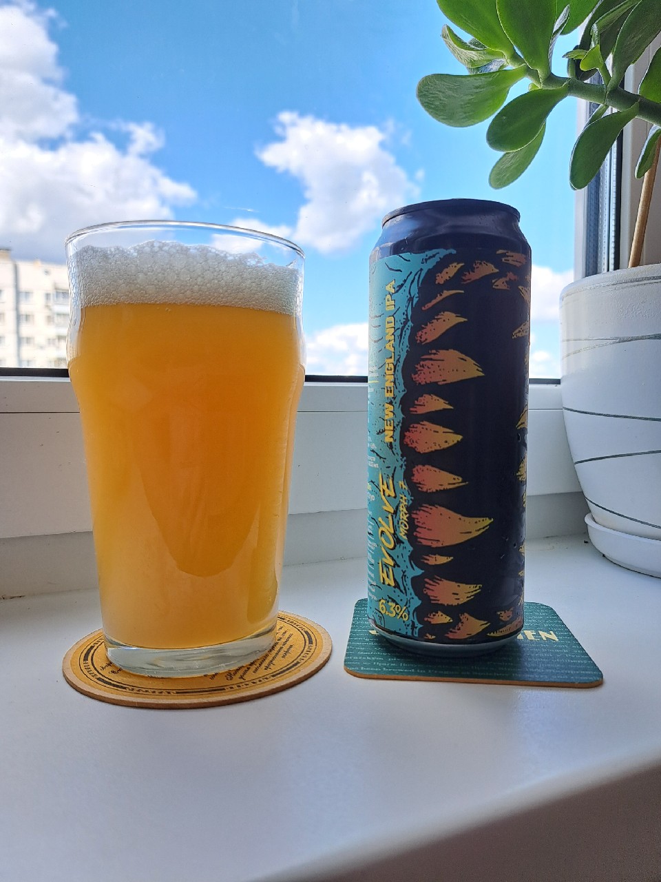 Evolve! Morph 7, Russia