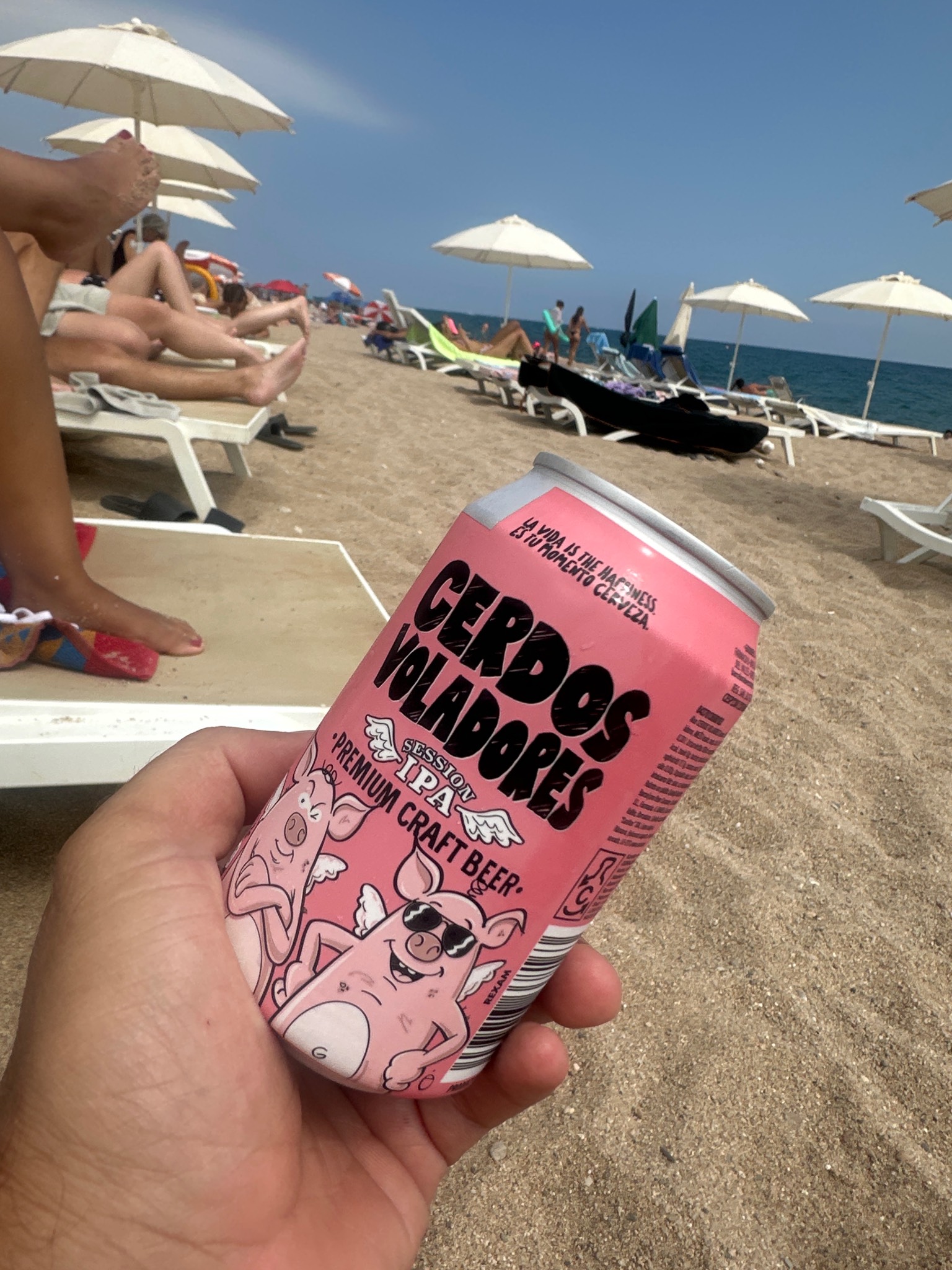 Cerdos Voladores IPA, Spain
