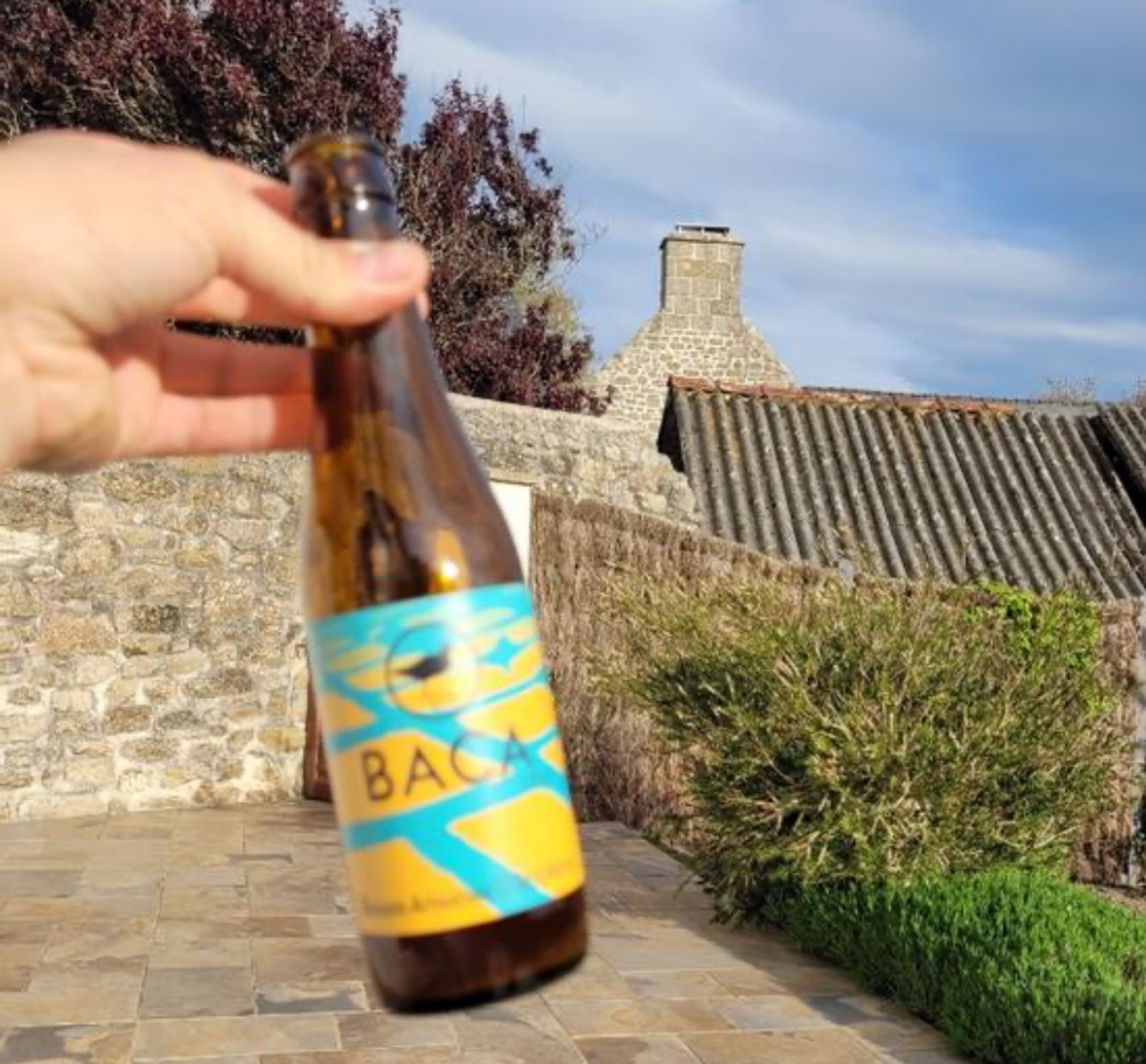 Baca IPA, BACA (Brasserie Artisanale De La Côte D'Amour)