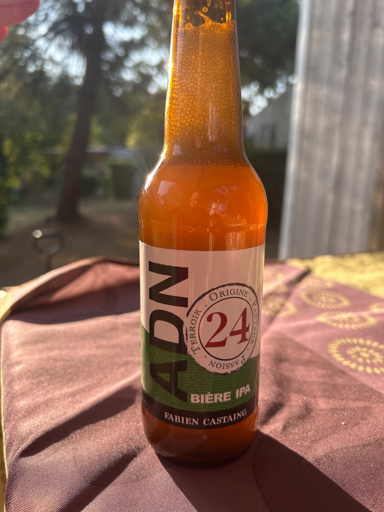 ADN 24 IPA, France