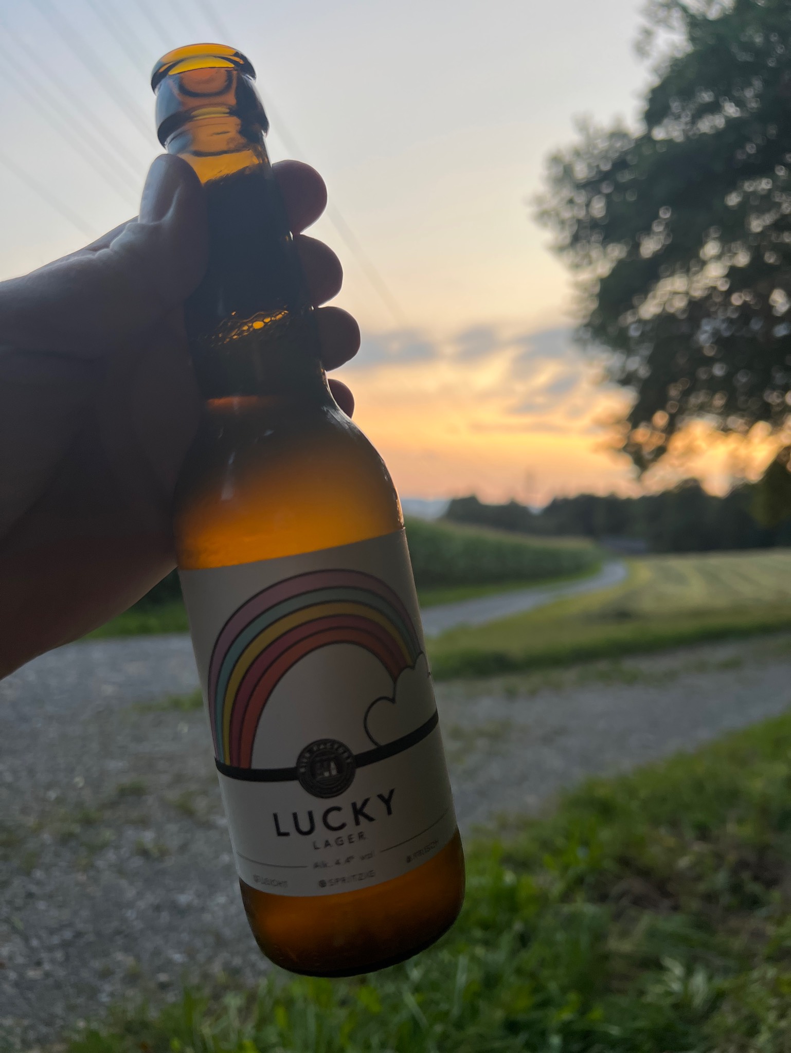 Lucky, Bier Factory - Brewery & Taproom
