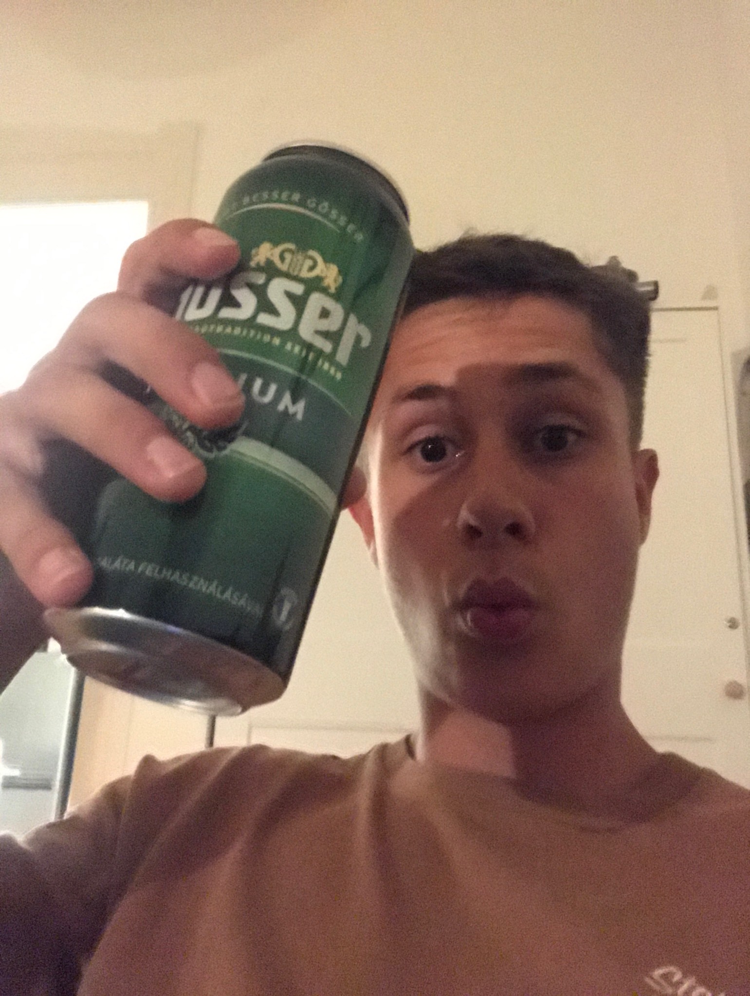 gösser premium, Hungary