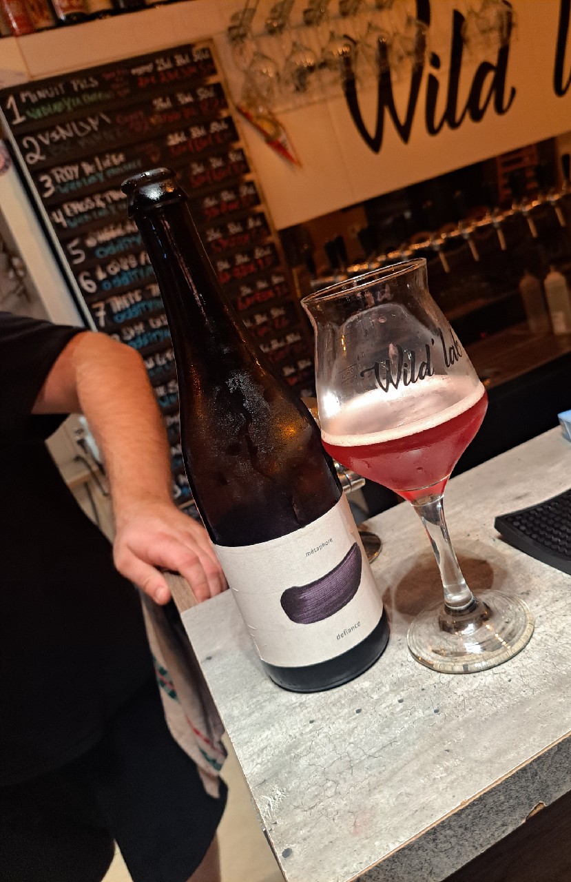 Defiance, Mètaphore