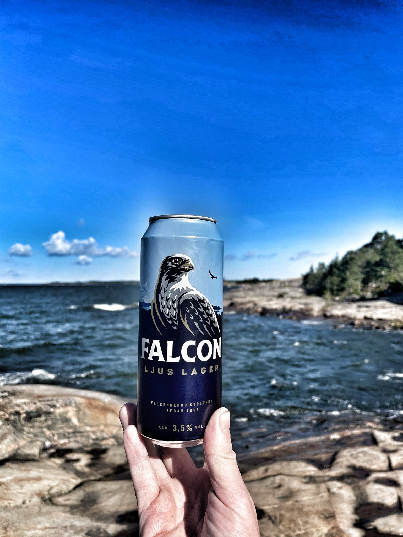 Falcon Ljus Lager, Sweden