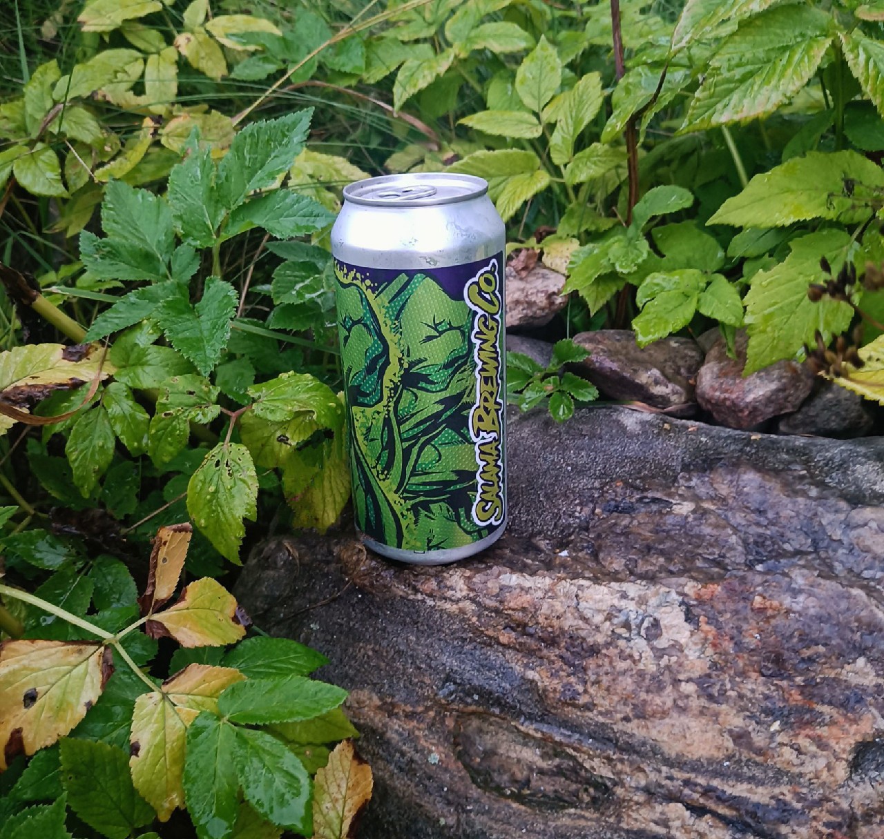 Circle of Fist, Salama Brewing Company
