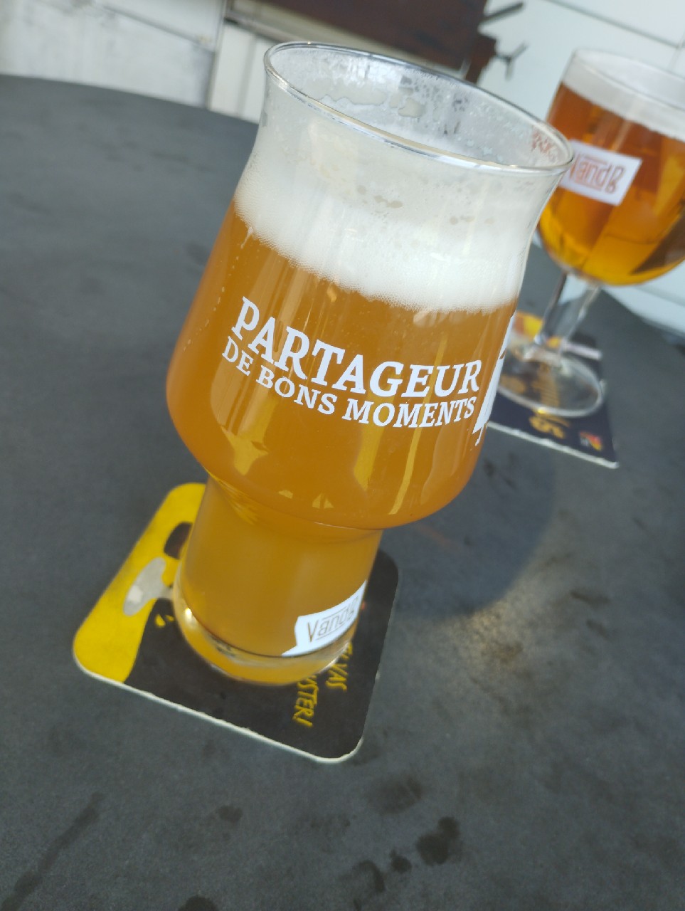 Meteor IPA, Brasserie Meteor