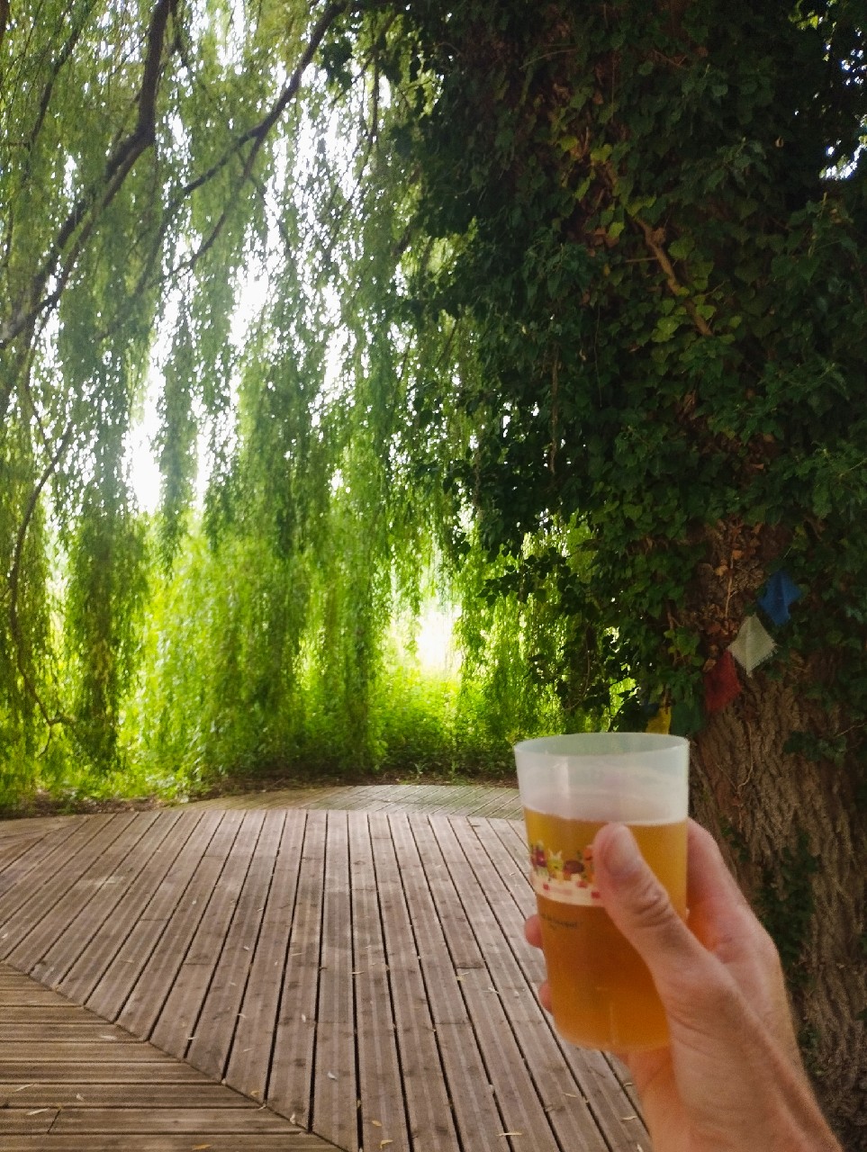 La Cadette Bio Bière Pur Malt Blonde, France