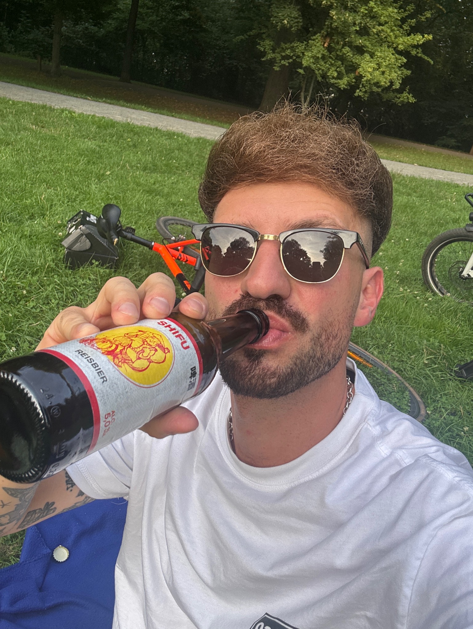 Shifu Reisbier, Germany