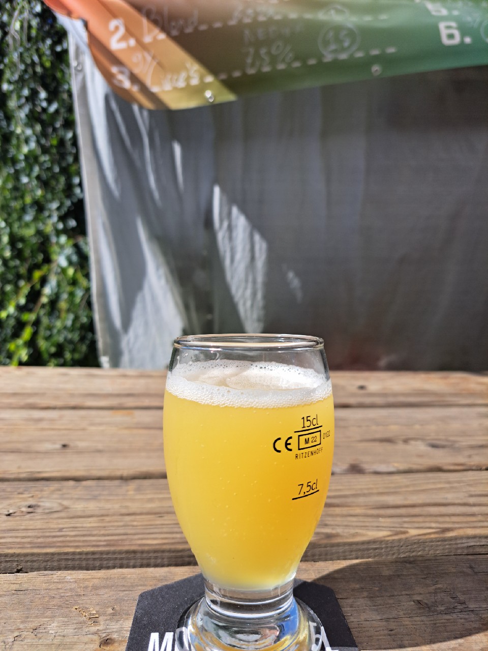 9 years celebration: circes enchantment, Netherlands