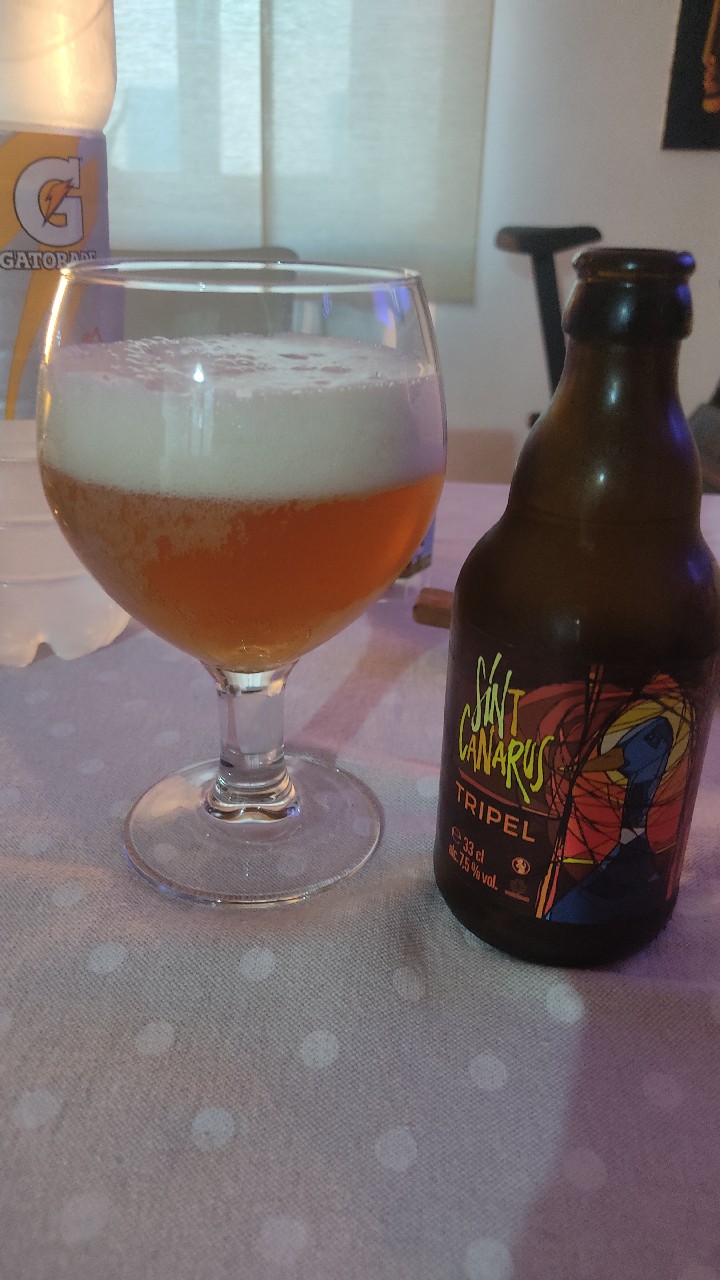 Sint Canarus Tripel, Belgium