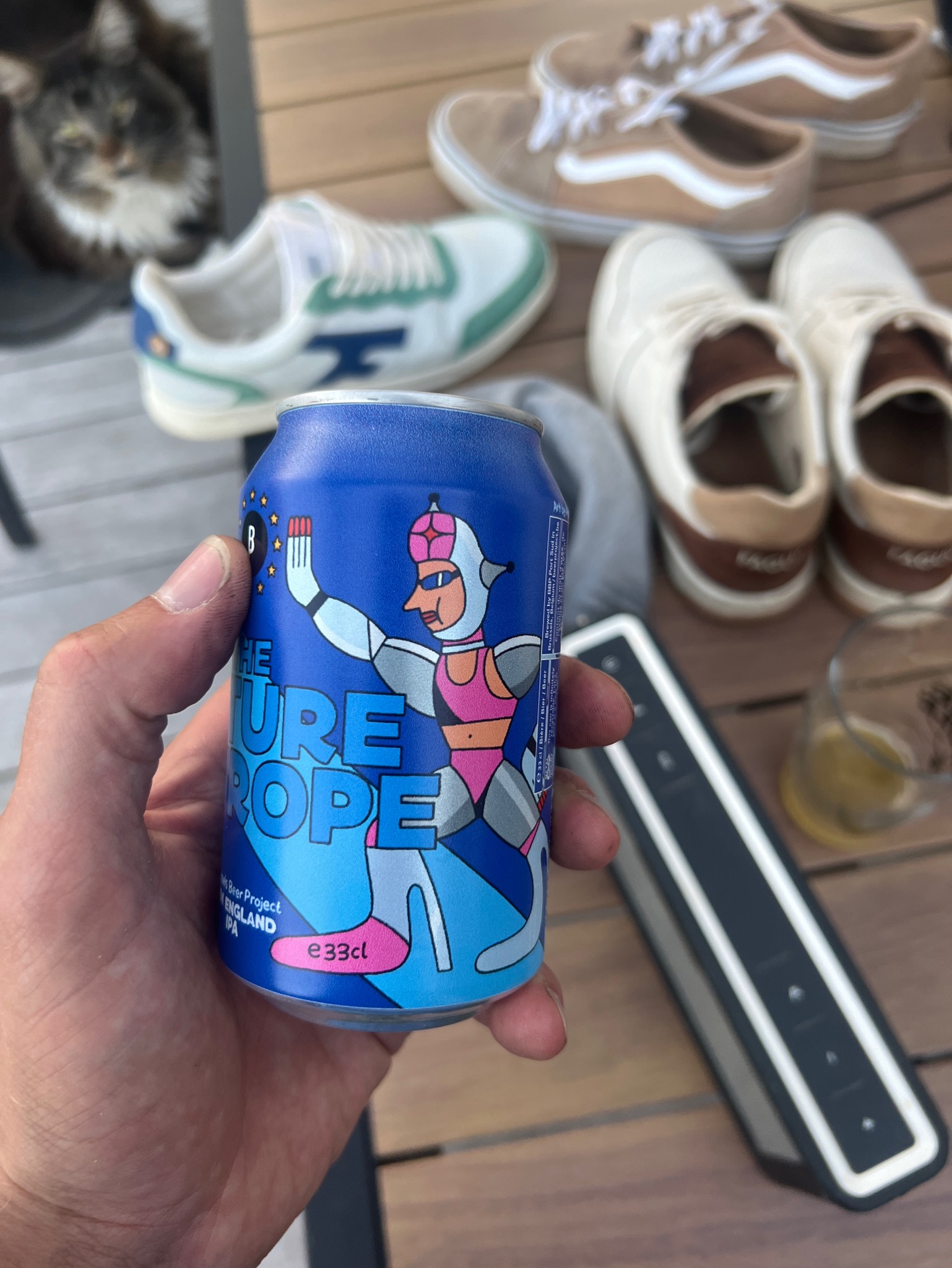 The Future Is Europe, Belgium